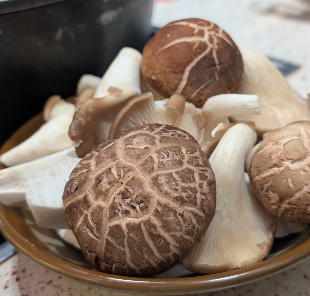 Basket of mixed mushrooms